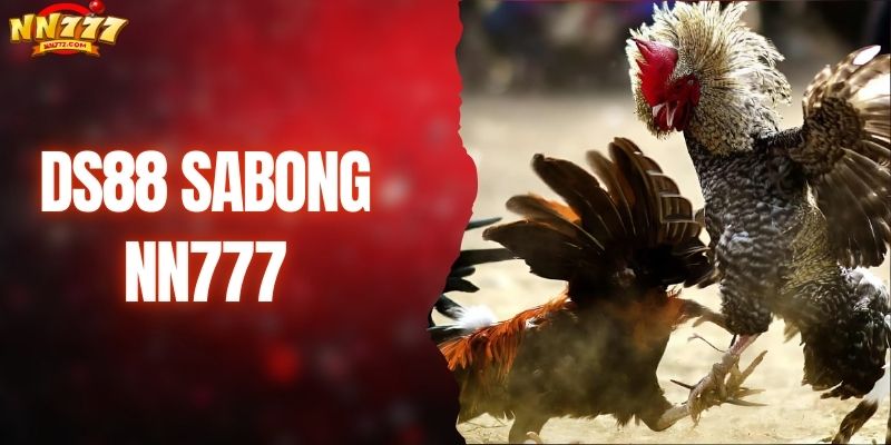 DS88 Sabong - Nangung Nang Sabong Arena sa Asya noong 2026