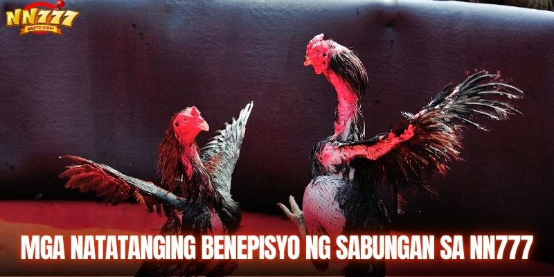Mga benepisyo ng Sabong NN777 para sa iyo
